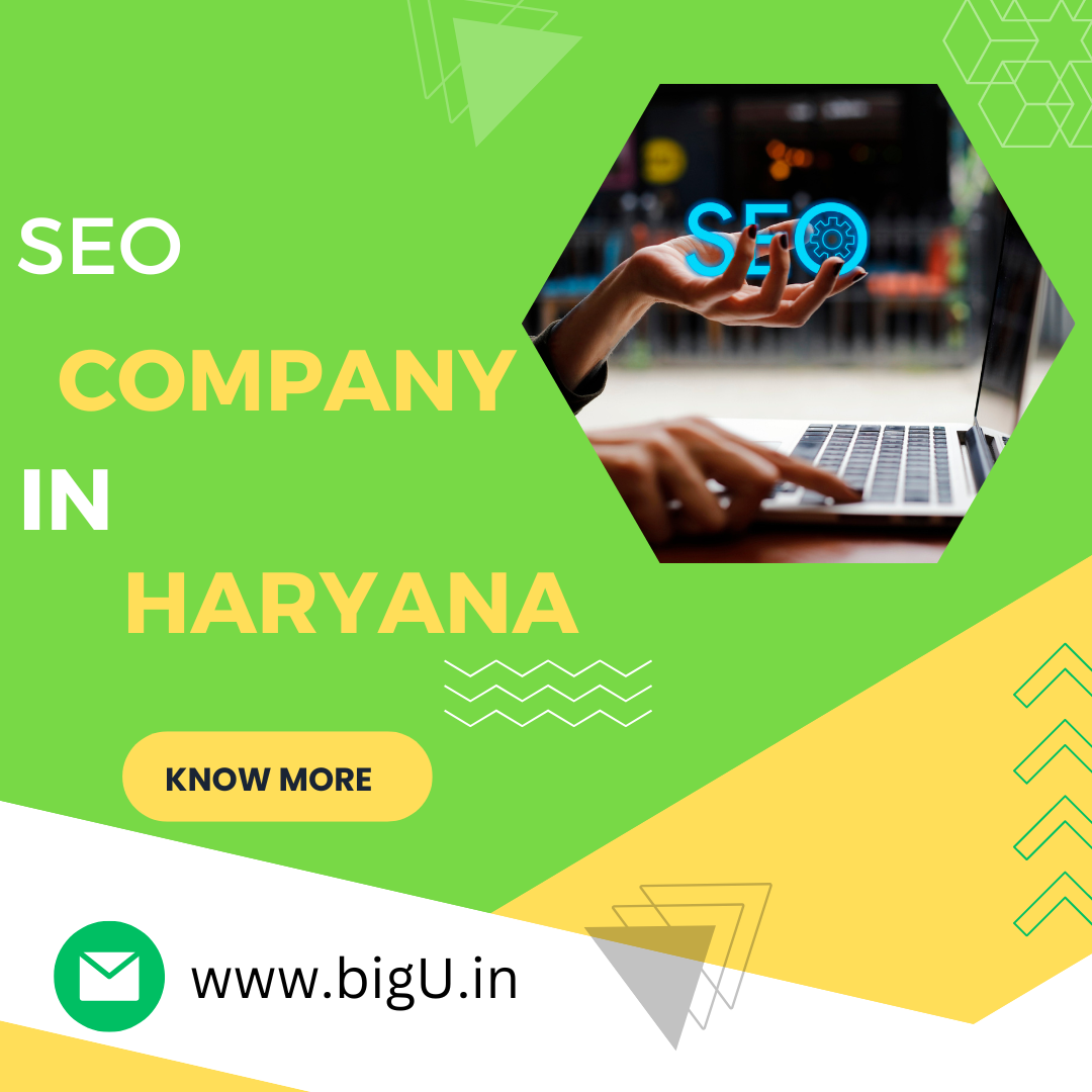 SEO company In Haryana